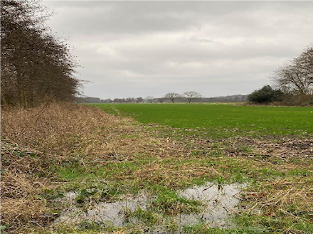 zichtlijn vanaf Nieuwe wetering